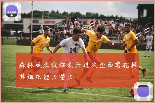 森林狼总裁称麦丹进攻全面需挖掘其组织能力潜力