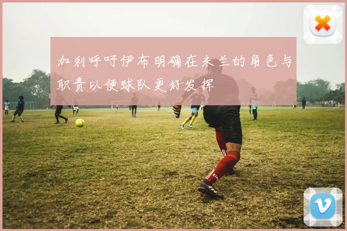加利呼吁伊布明确在米兰的角色与职责以便球队更好发挥